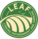 leaf logo - Quality