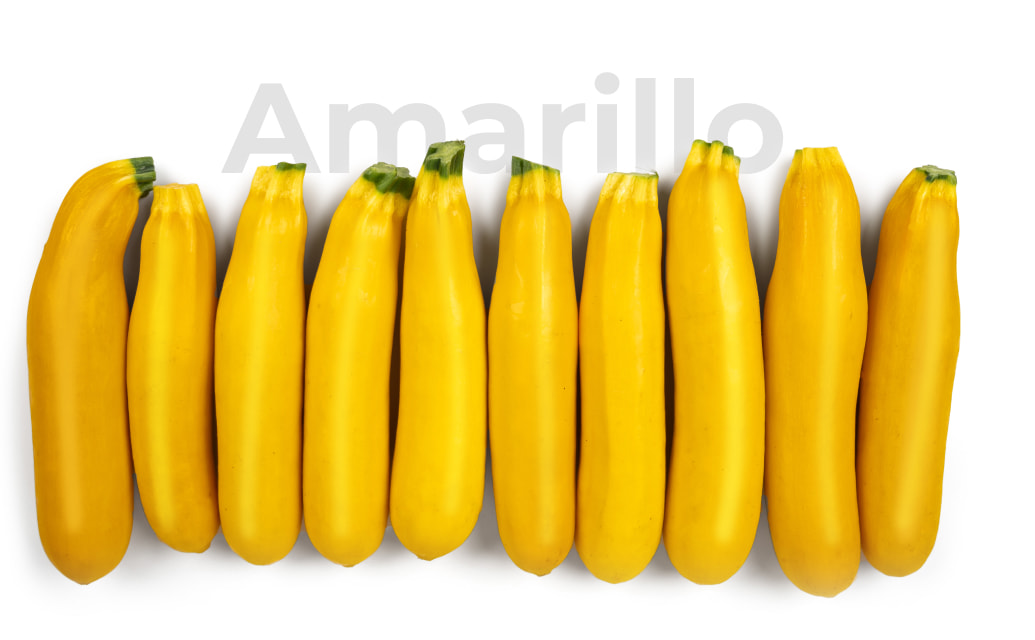 calabacines amarillos